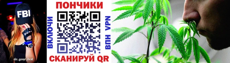 Где купить наркотики Заозёрный Alpha-PVP  Амфетамин  Меф мяу мяу  ГАШИШ  Cocaine 
