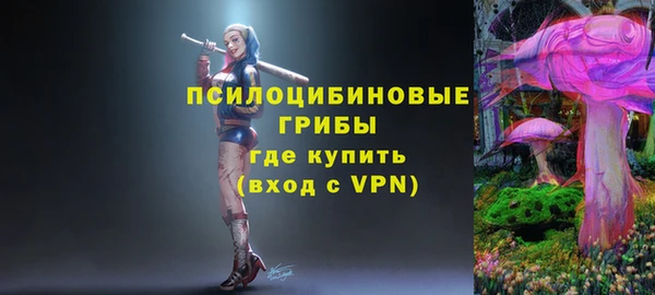 стаф Алексин
